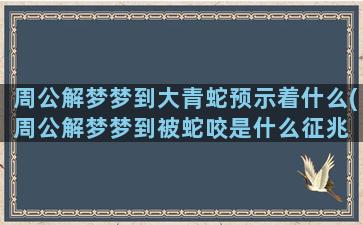 周公解梦梦到大青蛇预示着什么(周公解梦梦到被蛇咬是什么征兆 男性)